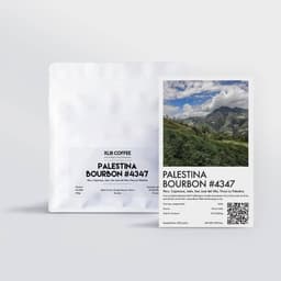 Palestina Bourbon #4347 - thumbnail 1