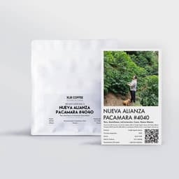Nueva Alianza Pacamara #4040 - thumbnail 1