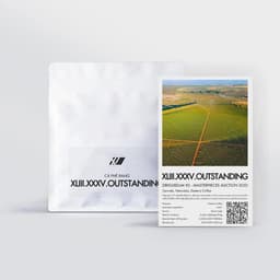 Ziriguidum #2 – Masterpieces Auction 2025 - thumbnail 1