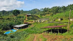 Nyamasheke Espresso - thumbnail 3