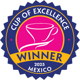 El Ocote – 2nd place Cup of Excellence – Competition Series Light Roast - thumbnail 3