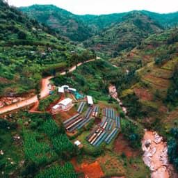 Shyira, RWANDA - Filter - thumbnail 2