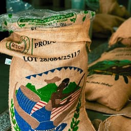 Shyira, RWANDA - Filter - thumbnail 1