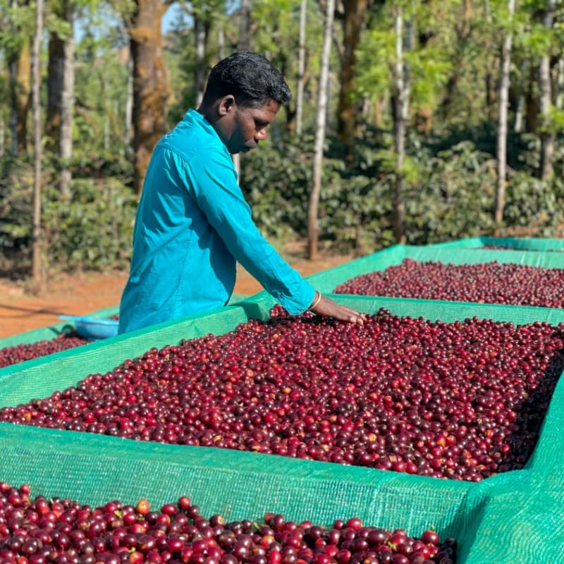 Gundikhan Natural Lot 15 & 57 - Filter