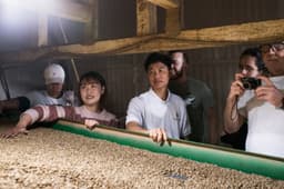 Vietnam MrToi Robusta - thumbnail 4