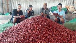 Indonesien Manggarai - thumbnail 5
