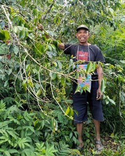 Indonesien Manggarai - thumbnail 3