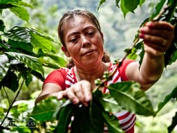Nicaragua - thumbnail 2
