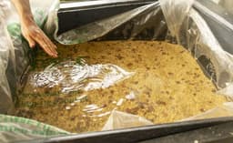 LETZTE BATCH Kolumbien Villamaria Pink Bourbon Washed - thumbnail 4