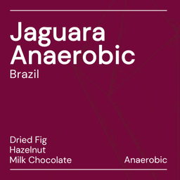Jaguara Anaerobic - thumbnail 1