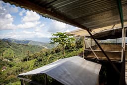 Villa Betulia — Vintage 2022 Caturron - thumbnail 5