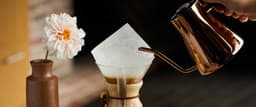 Regenerative Organic Certified Dark Roast Colombia ASAPROFUCAL - thumbnail 4
