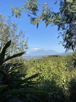 Guatemala Santa Elisa Estate Lot - thumbnail 1