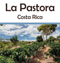 Costa Rica La Pastora - thumbnail 1