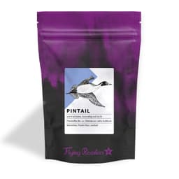 Pintail - thumbnail 1