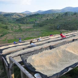 Rwanda Nyamurinda - thumbnail 4