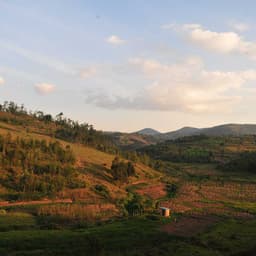 Rwanda Nyamurinda - thumbnail 5