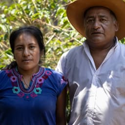 Mexiko Juba Guerrero - thumbnail 2