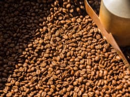 La CRISTALINA- Decaf - thumbnail 5