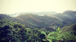 Kolumbien San Gabriel - thumbnail 2