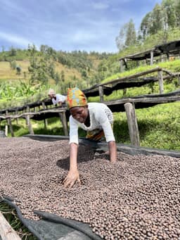 Ruanda – Shyira - thumbnail 2