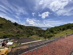 Ruanda – Shyira - thumbnail 3