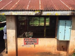 Kenya, Kamwangi AA - thumbnail 4