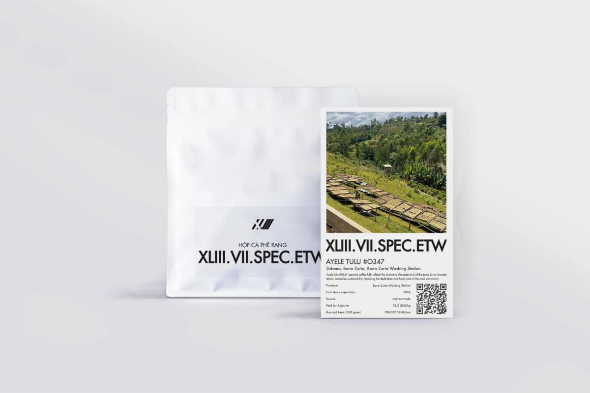 Ayele Tulu #0347