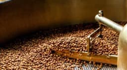 El Limoncillo Yellow Pacamara - thumbnail 4