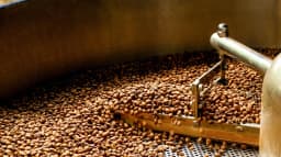 El Limoncillo Yellow Pacamara - thumbnail 3