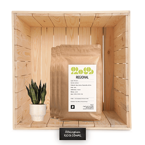 Äthiopien Sidamo Gr.2 Bensa Organic