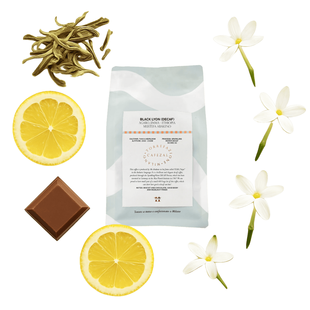 Black Lyon - Ethiopia (decaf)