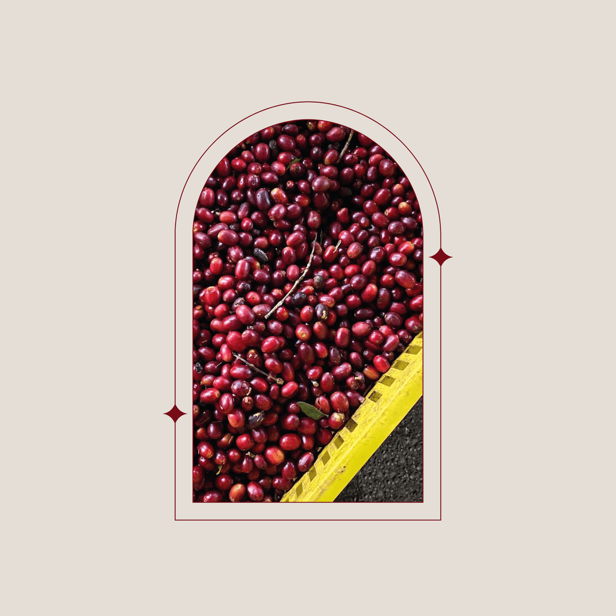 Colombia Inmaculada Sudan Rume