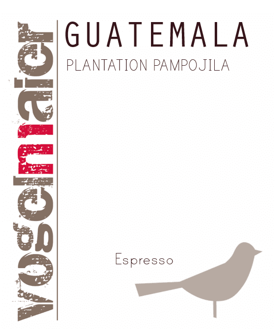 Guatemala "Plantation Pampojila" - Espresso