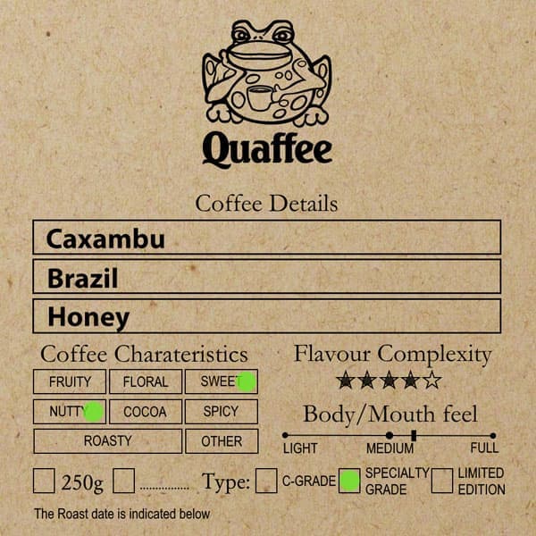 Brazilian Caxambu Arara a honey processed coffee